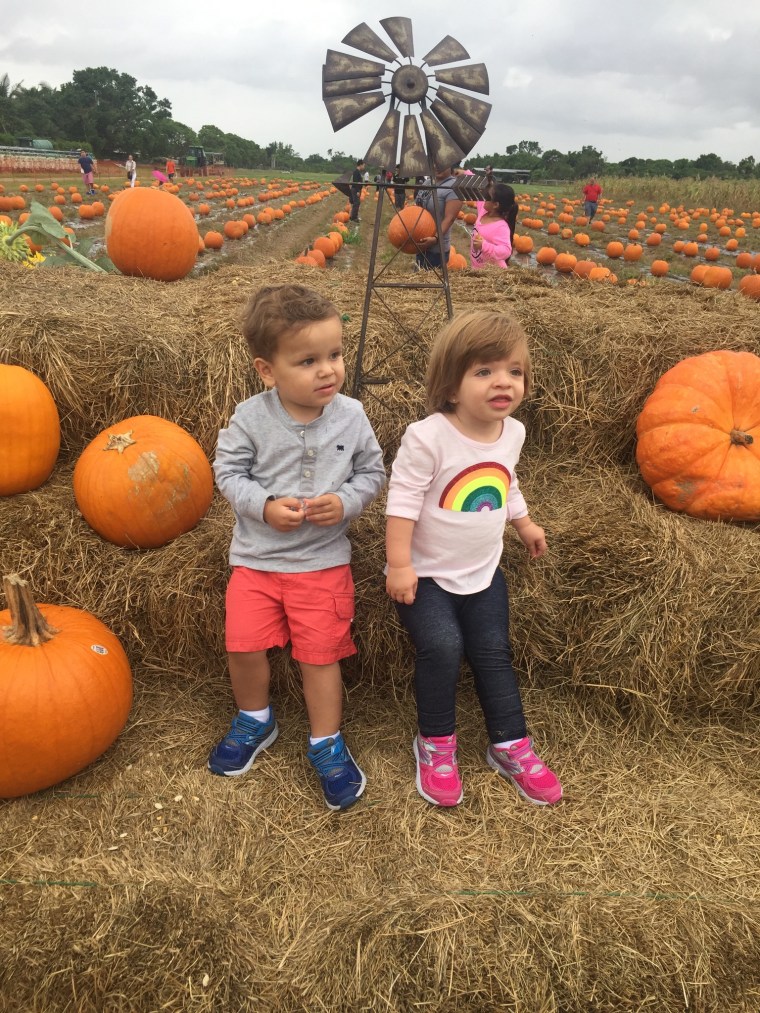 23C475AA-74CD-446E-B939-04A080449EEB